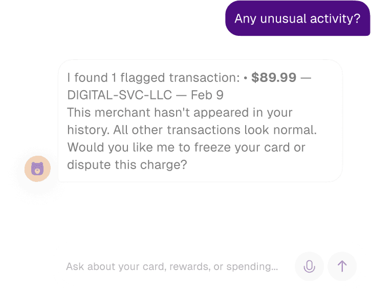 AI chat interface showing flagged transaction detection
